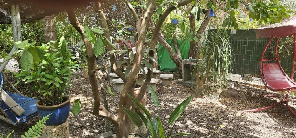 נופש דביר - סוויטות מהממות ובקתה כפרית עם ג'קוזי ליד הכנרת - יש מקלט צמוד Villa Migdal Rum bild